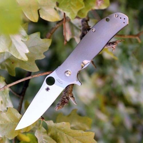 5891 Spyderco Advocate by Gayle Bradley - C214TIP фото 7