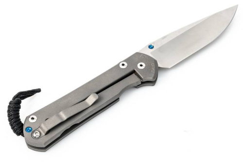 3810 Chris Reeve Large Sebenza 21 Polished Blade фото 15